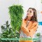 12 Pcs Artificial Hanging Plants 32 Inch Hanging Boston Ferns (Green) 14"D x 7"W x 7"H